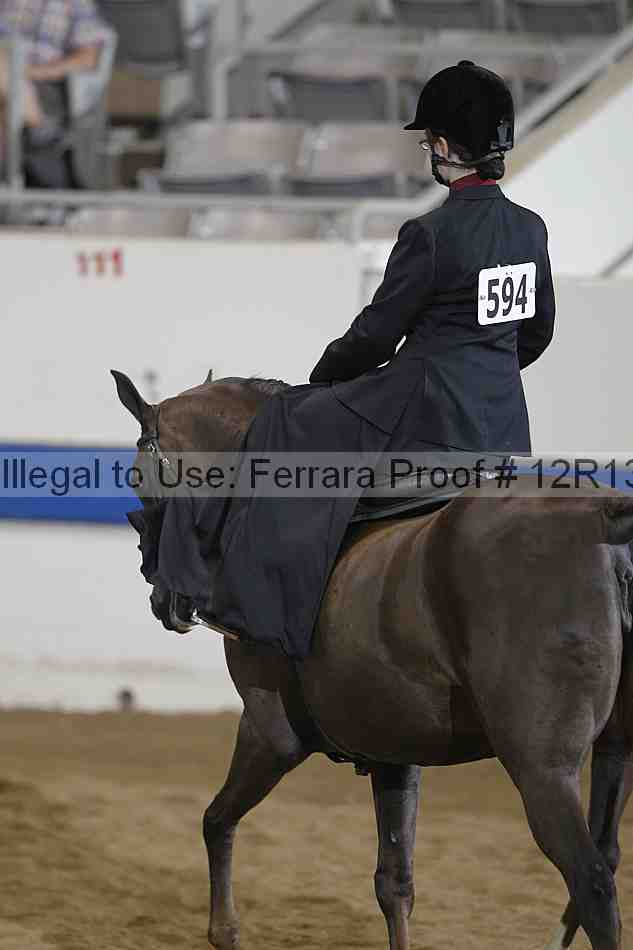 Proof 12r13_4834