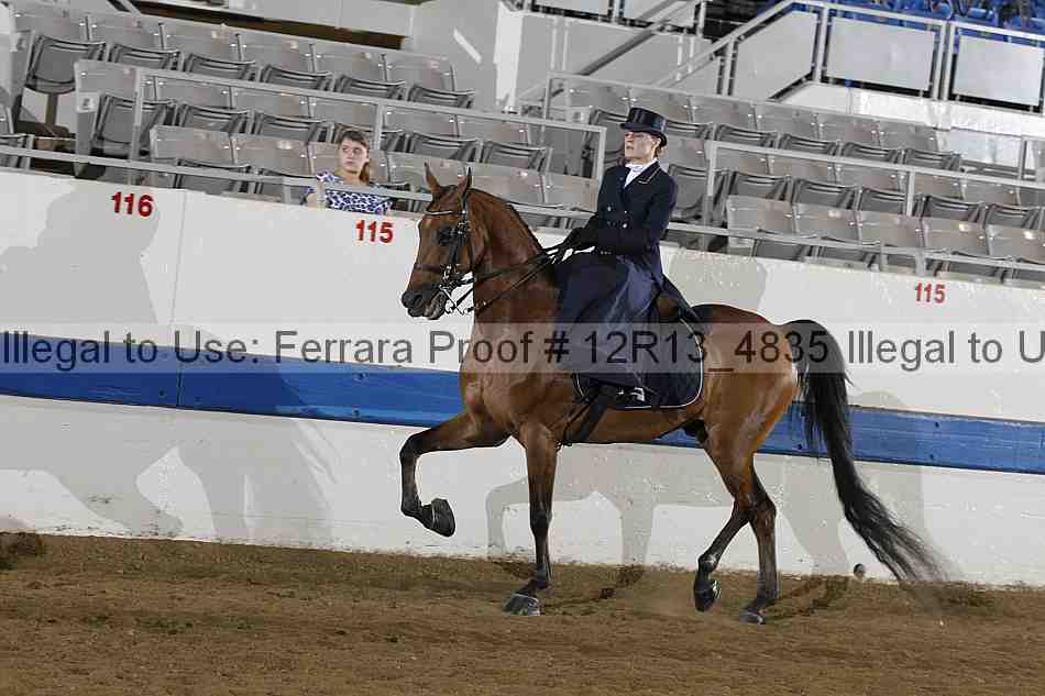 Proof 12r13_4835