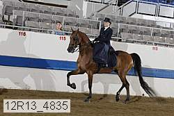 12r13_4835 proof