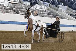 12r13_4884 proof
