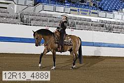 12r13_4889 proof