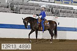12r13_4890 proof