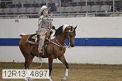 12r13_4897 proof