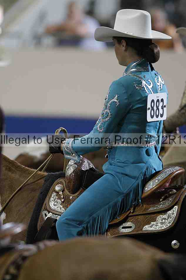 Proof 12r13_4902