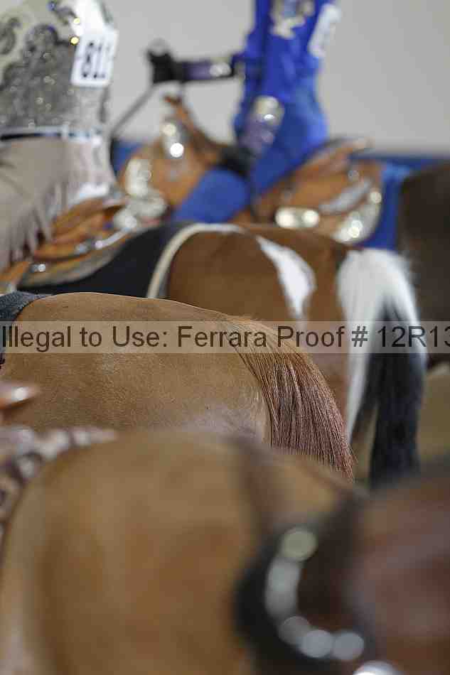 Proof 12r13_4904