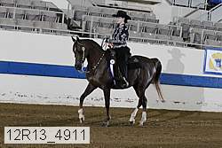 12r13_4911 proof