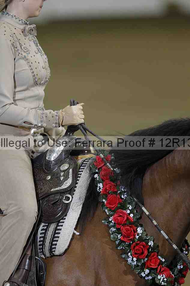 Proof 12r13_4914