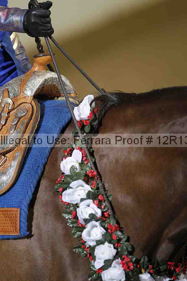 Proof 12r13_4937