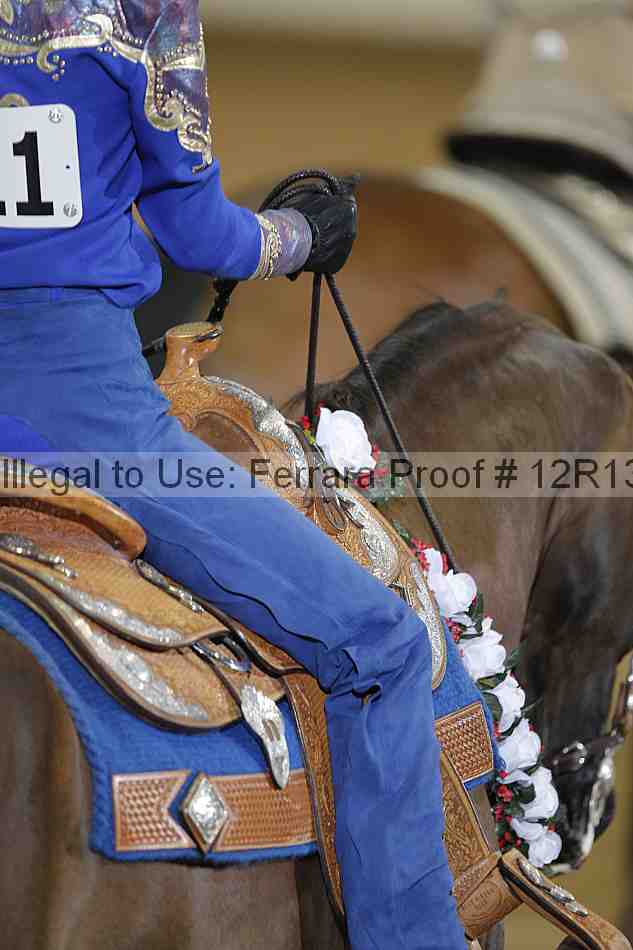 Proof 12r13_4938