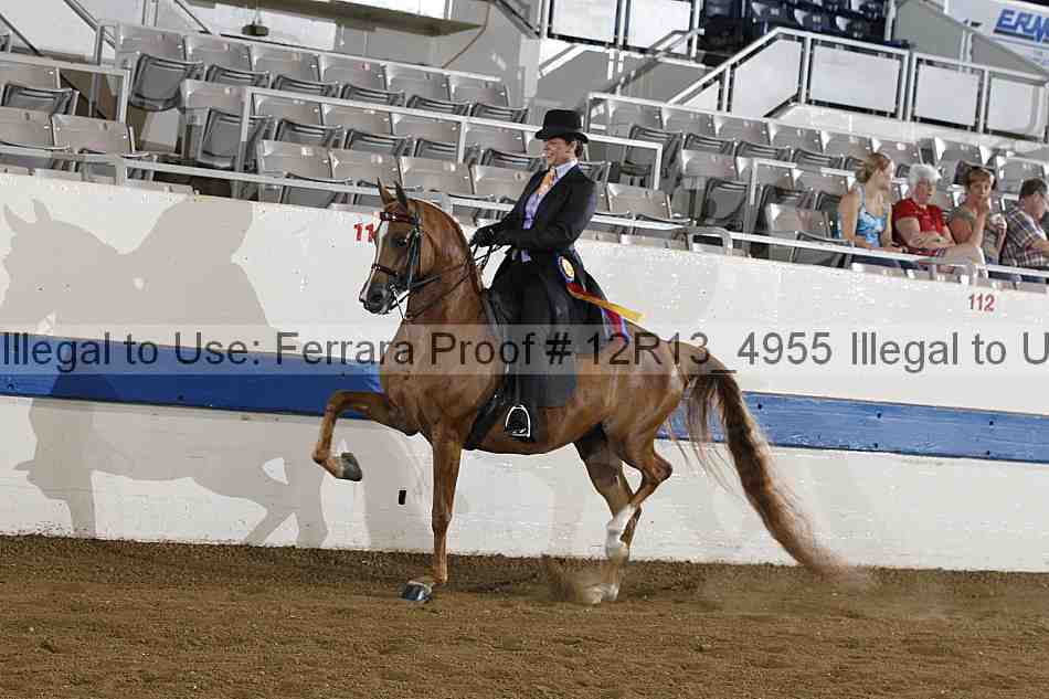 Proof 12r13_4955