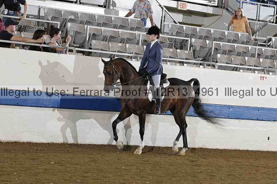 Proof 12r13_4961