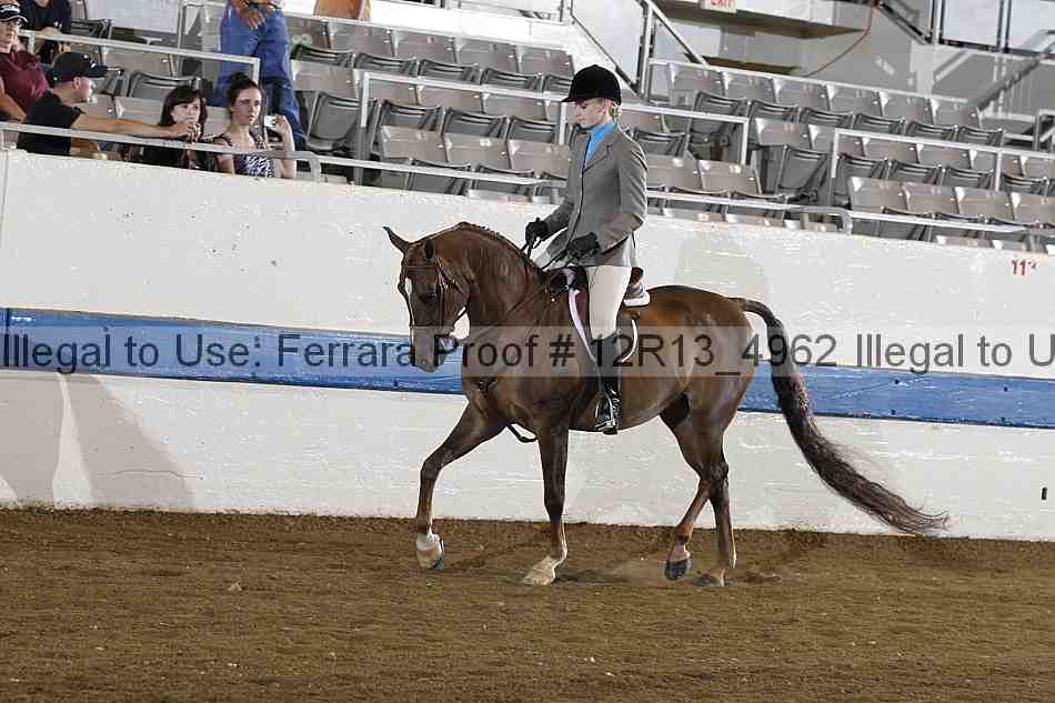Proof 12r13_4962
