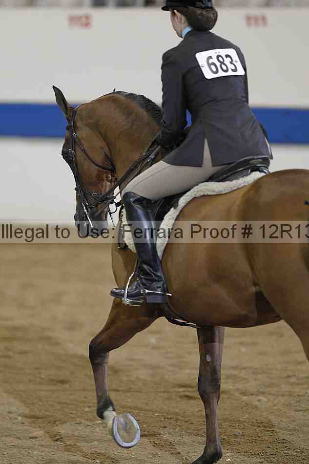 Proof 12r13_4963