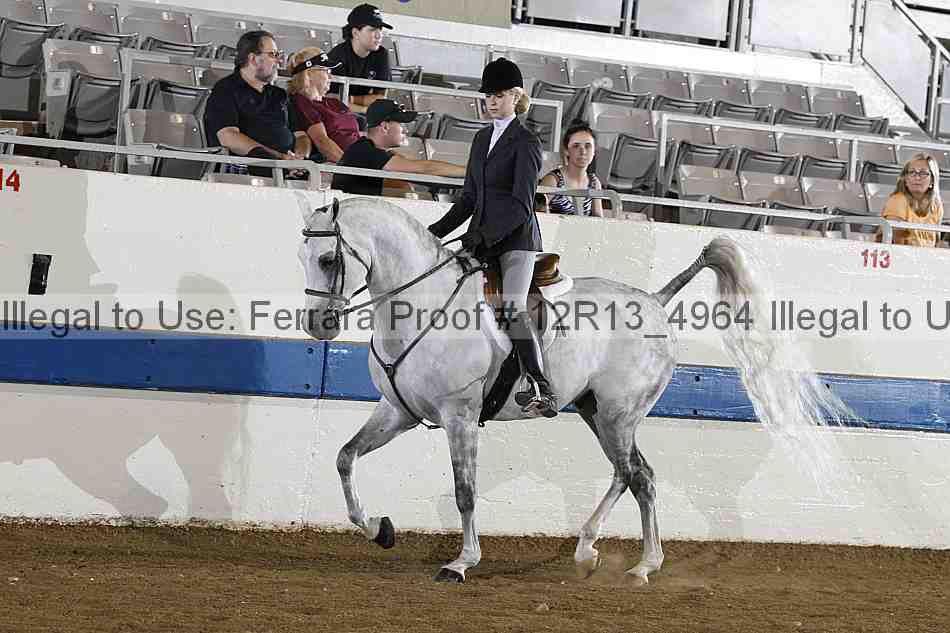 Proof 12r13_4964