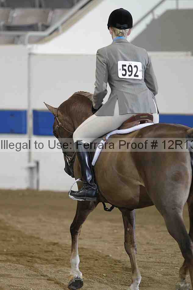 Proof 12r13_4966