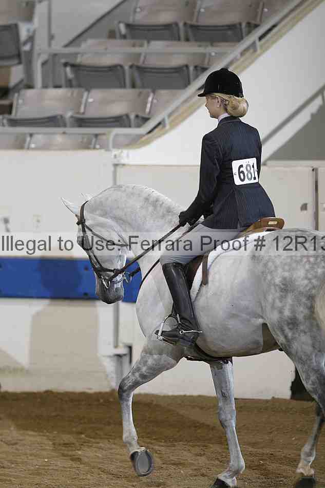 Proof 12r13_4969