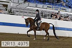 12r13_4975 proof