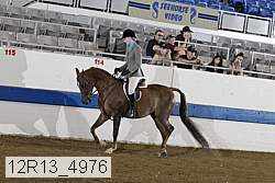 12r13_4976 proof