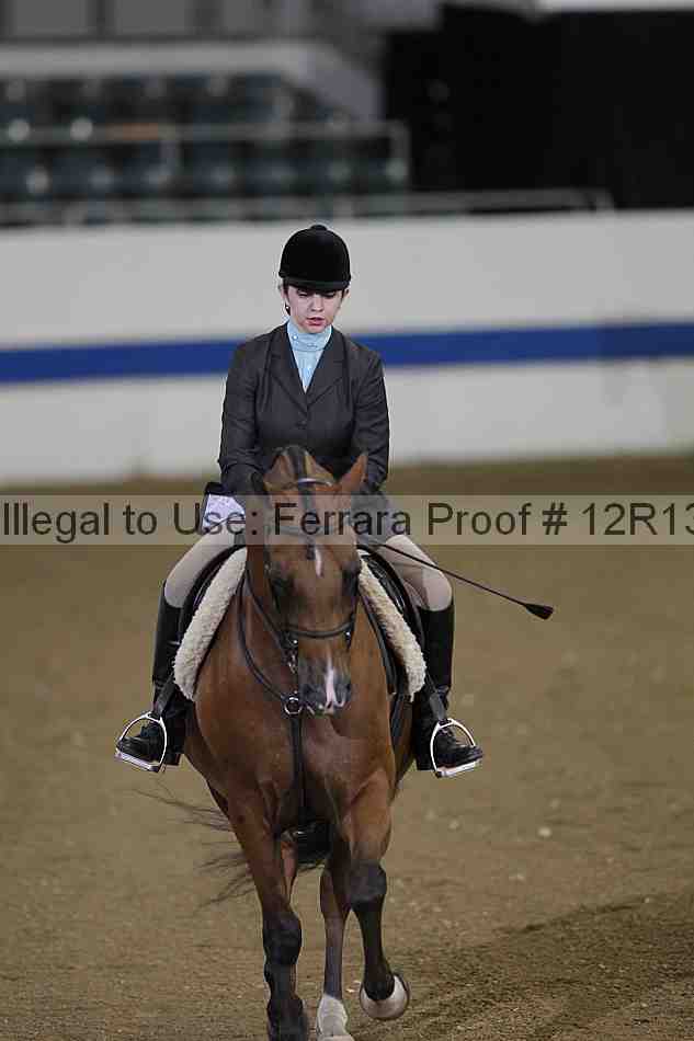 Proof 12r13_4993