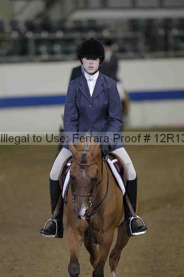 Proof 12r13_4996