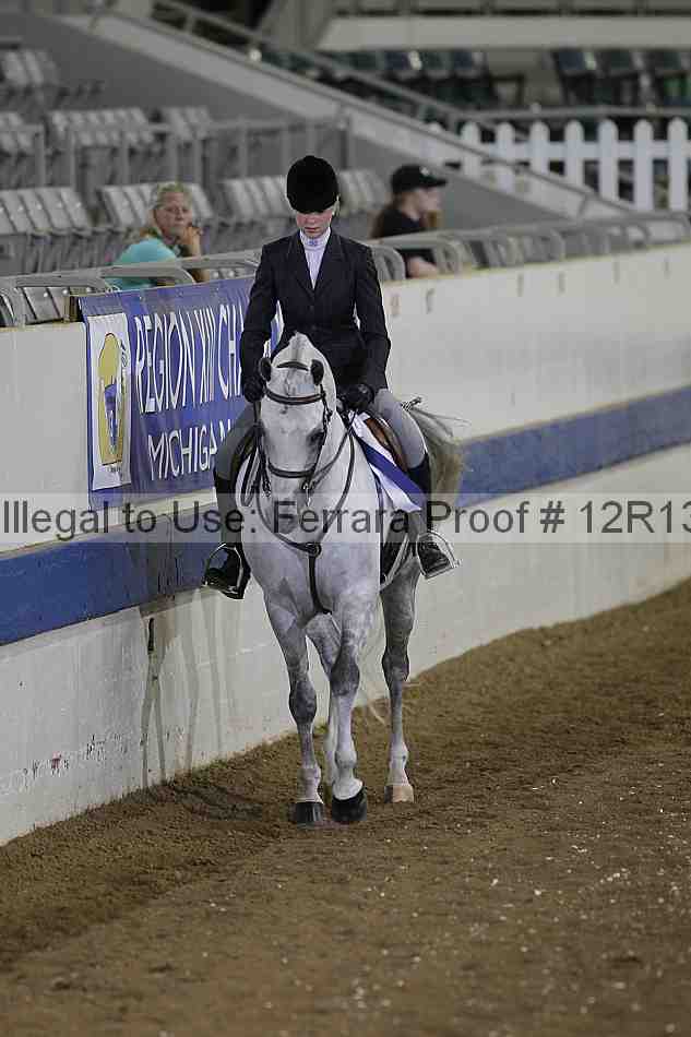 Proof 12r13_5028