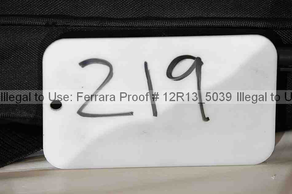 Proof 12r13_5039