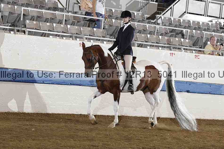 Proof 12r13_5041