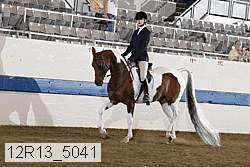 12r13_5041 proof