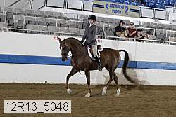12r13_5048 proof