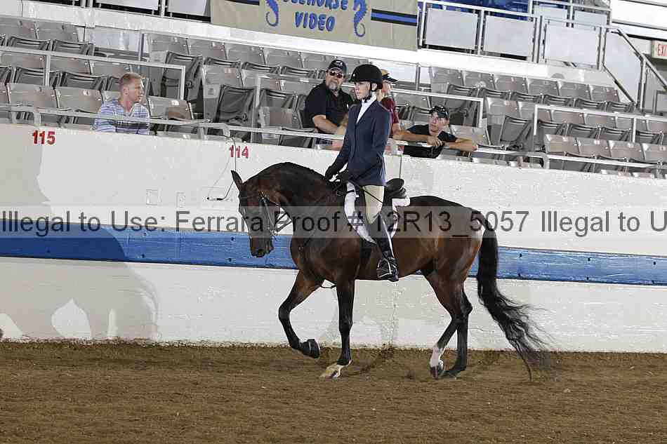 Proof 12r13_5057