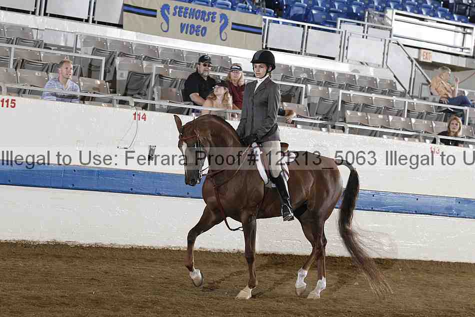 Proof 12r13_5063