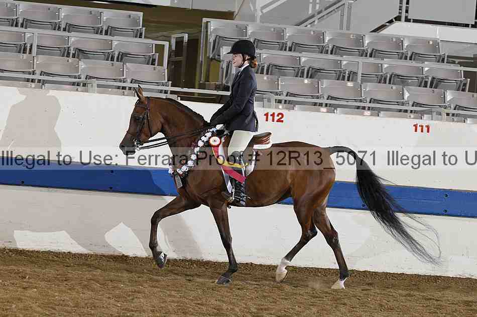 Proof 12r13_5071