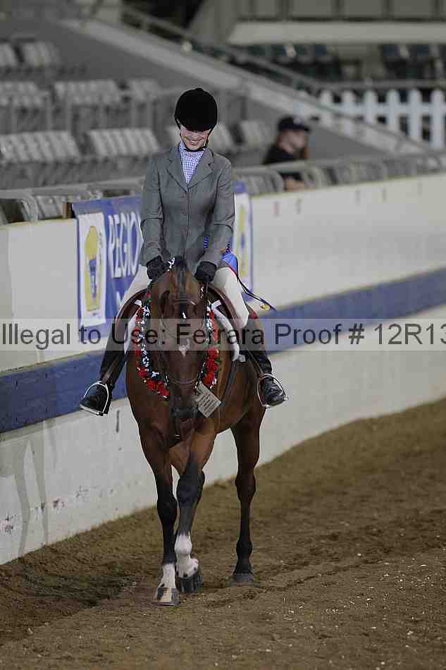 Proof 12r13_5095