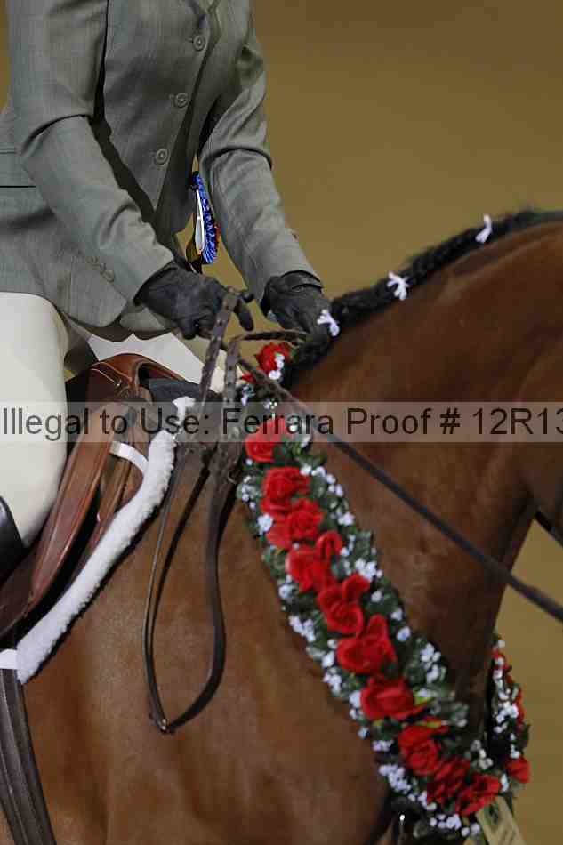 Proof 12r13_5099