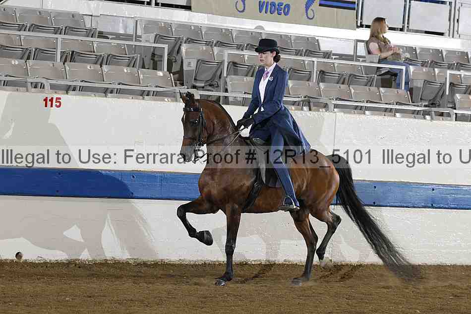 Proof 12r13_5101