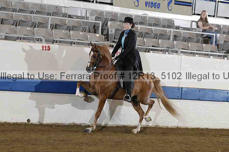 Proof 12r13_5102