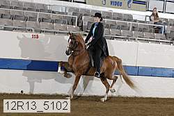 12r13_5102 proof
