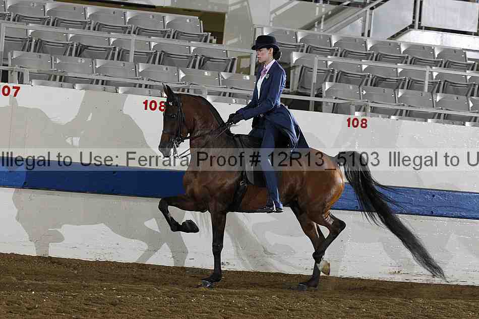 Proof 12r13_5103