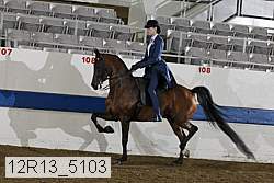12r13_5103 proof