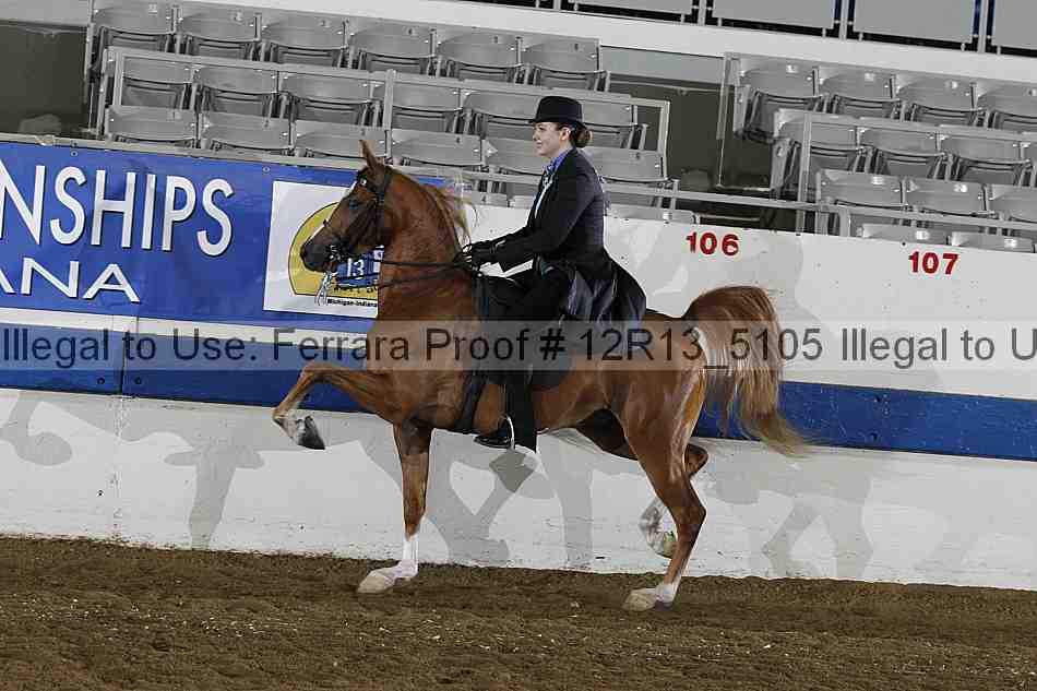 Proof 12r13_5105