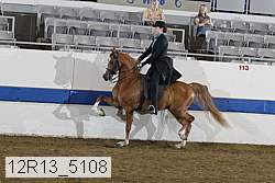 12r13_5108 proof