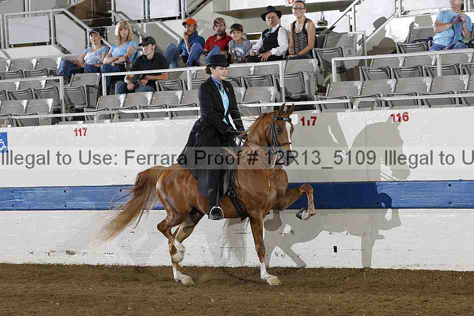 Proof 12r13_5109
