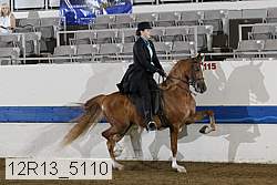 12r13_5110 proof