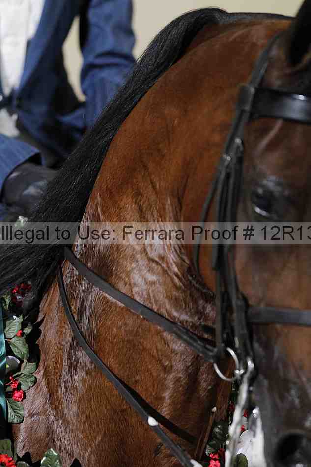 Proof 12r13_5117