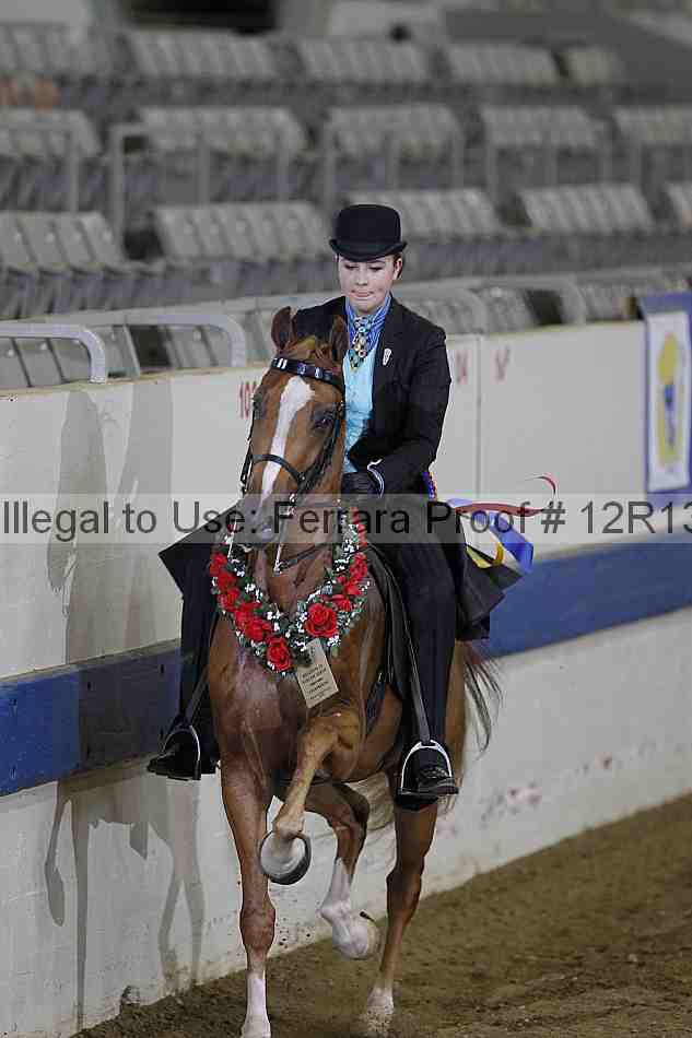Proof 12r13_5118