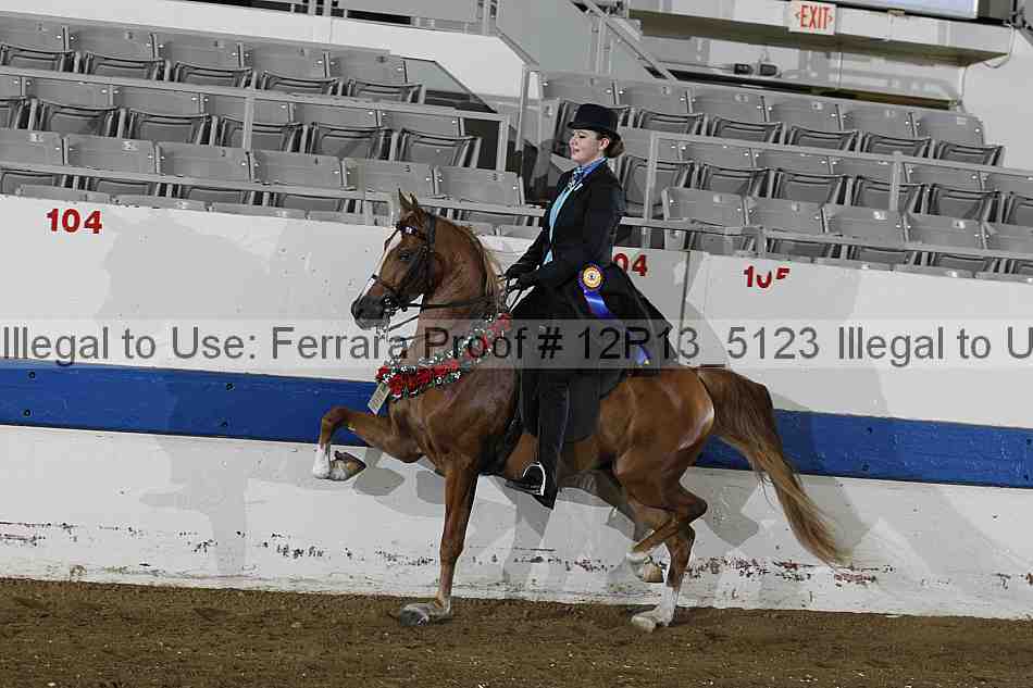 Proof 12r13_5123