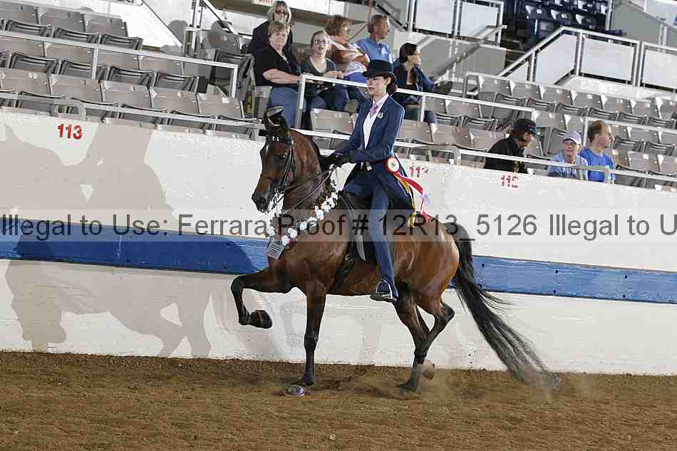 Proof 12r13_5126