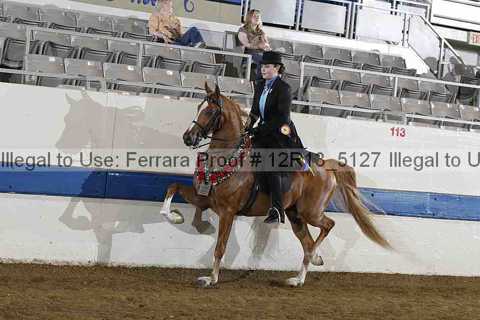 Proof 12r13_5127