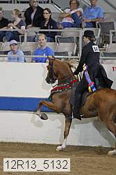 12r13_5132 proof
