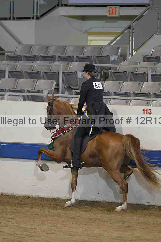 Proof 12r13_5133